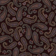 pattern paisley N6