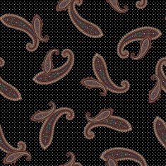 pattern paisley N9