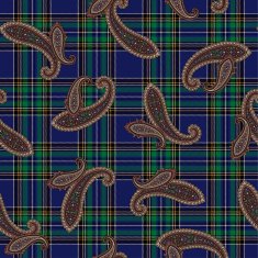 pattern paisley N11