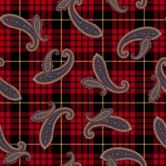 pattern paisley N12