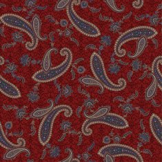 pattern paisley N13