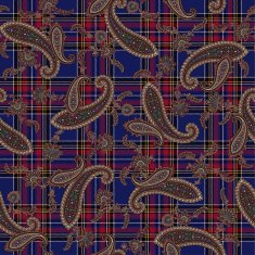 pattern paisley N14