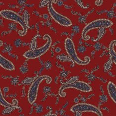 pattern paisley N17