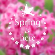 Spring blurry background