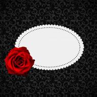 Beautiful Floral Cards with Realistic Rose Flowers Vector Illus N3