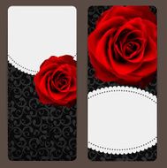 Beautiful Floral Cards with Realistic Rose Flowers Vector Illus N4