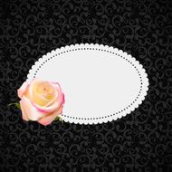 Beautiful Floral Cards with Realistic Rose Flowers Vector Illus N5