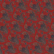 pattern paisley N20