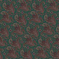 pattern paisley N21