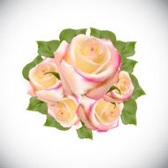 Realistic Rose High Quality Vector Illustration N5