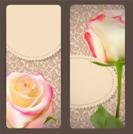 Beautiful Floral Cards with Realistic Rose Flowers Vector Illus N11