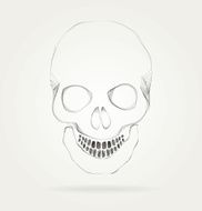 The symbol of the skull