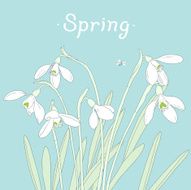 Snowdrops spring bouquet Hand-drawn vector illustration Card invitation template