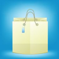 Paper Bag N6