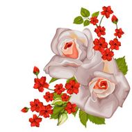 Roses corner Vector illustration