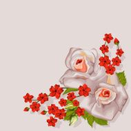 Roses Vector illustration N2