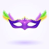 Purple mask with feathers