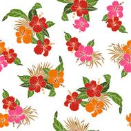 pattern of Hibiscus