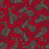 pattern paisley N28