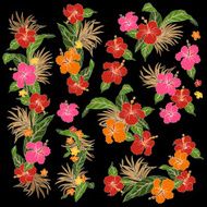 Hibiscus illustration N5