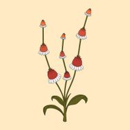 Growing flower N2