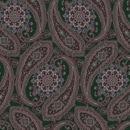 pattern paisley N35