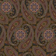 pattern paisley N36