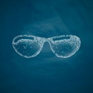 sunglasses icon N53