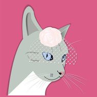 Portrait of fashion lady-cat in a hat with veil