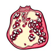 Isolated vector pomegranade N2