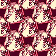 Pomegranade vector pattern