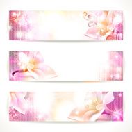 Set of floral vector banners