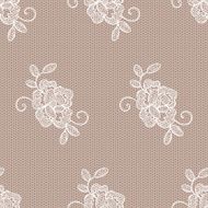 Old lace background ornamental flowers N4