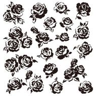 Rose bouquet