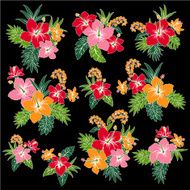 picture of Hibiscus