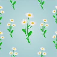 Seamless texture daisy spring background vector