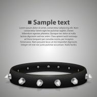 Spiked collar
