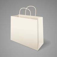 Paper shopping bag with handles