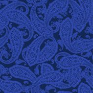 pattern paisley N40