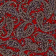 pattern paisley N47