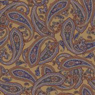 pattern paisley N48