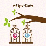 love owls N3
