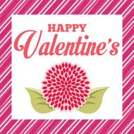 Valentines Day N45