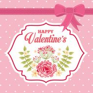 Valentines Day N100
