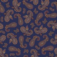 pattern paisley N51