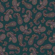 pattern paisley N53