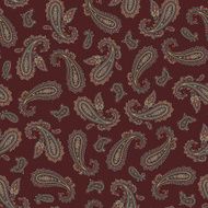pattern paisley N54