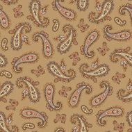 pattern paisley N55