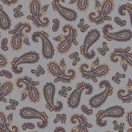 pattern paisley N56