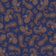pattern paisley N57